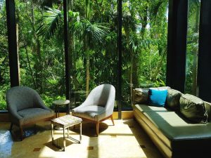 Área de descanso con amplios ventanales que muestran una vista exuberante de la selva tropical.